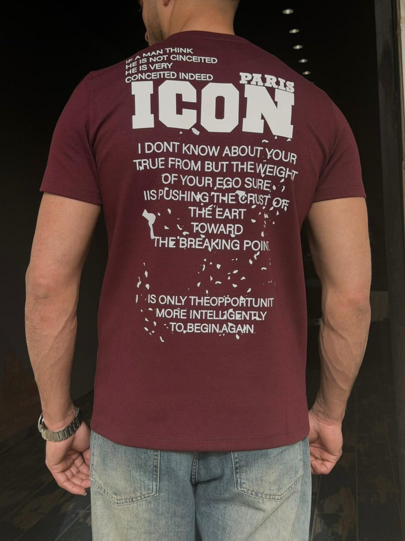 icone